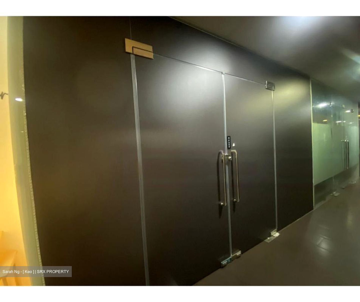 The Commerze@irving (D13), Shop House #454362511